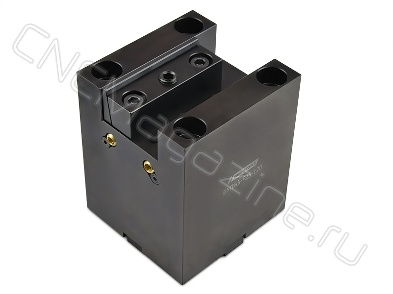 BMT65-F25-120 Держатель торцевого инструмента 96х100х120, стационарный, радиальный BRIGHT-TOOLS